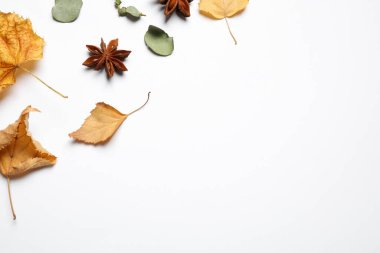 Beyaz arkaplan üzerindeki metin için sonbahar yaprakları ve boşluk içeren düz düzenleme