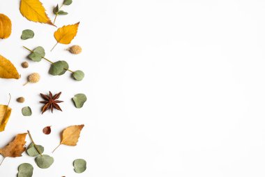 Beyaz arkaplan üzerindeki metin için sonbahar yaprakları ve boşluk içeren düz düzenleme