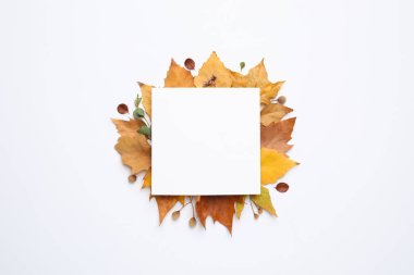 Sonbahar yapraklı düz kompozisyon ve beyaz arkaplan üzerinde boş kart, metin için boşluk