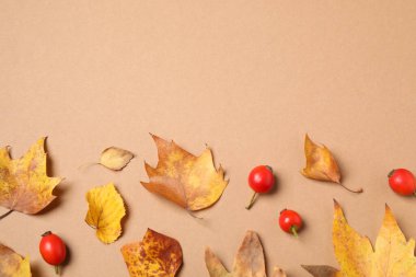Bej arkaplan üzerinde sonbahar yaprakları ile düz kompozisyon, metin için boşluk