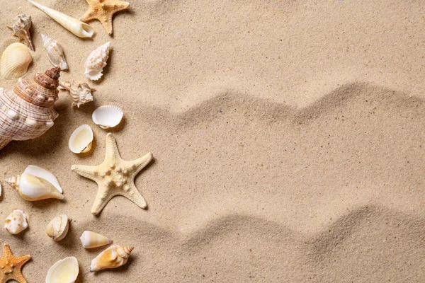 Beautiful Seashells Starfishes Beach Sand Flat Lay Space Text Summer — Stock Photo, Image