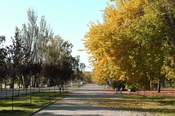 Belle Vue Sur Parc Automne Par Une Journée Ensoleillée — Photo