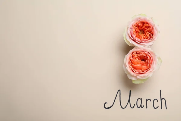 March Greeting Card Design Roses Space Text Beige Background Flat — Stock Photo, Image
