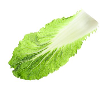 Bir parça Çin lahanası beyaza izole edilmiş.