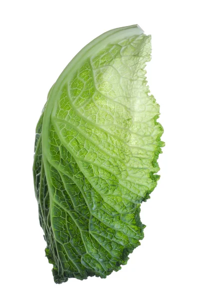 Leaf Fresh Savoy Cabbage Isolated White — Stock Photo, Image