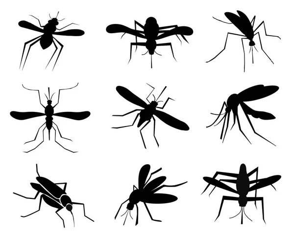 Conjunto Mosquitos Pretos Sobre Fundo Branco Ilustração — Fotografia de Stock