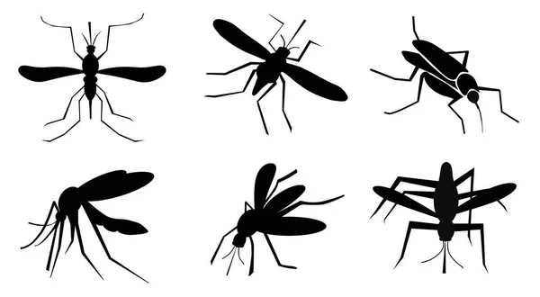 Conjunto Mosquitos Negros Sobre Fondo Blanco Ilustración —  Fotos de Stock