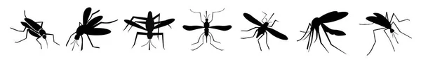 一套白色背景的黑色蚊子 横幅设计 说明1 — 图库照片