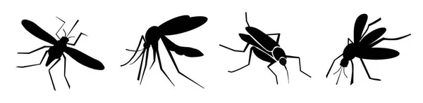 Fekete Szúnyogok Fehér Háttéren Banner Design Illusztráció — Stock Fotó
