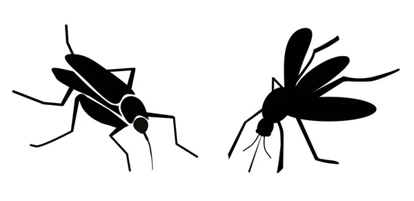 Czarne Komary Białym Tle Sztandar Ilustracja — Zdjęcie stockowe