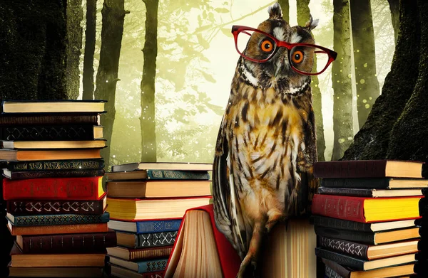 Beautiful wise owl near books in fantasy world