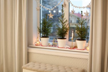 Küçük saksı köknar ağaçları ve pencere eşiğinde Noel süsü.