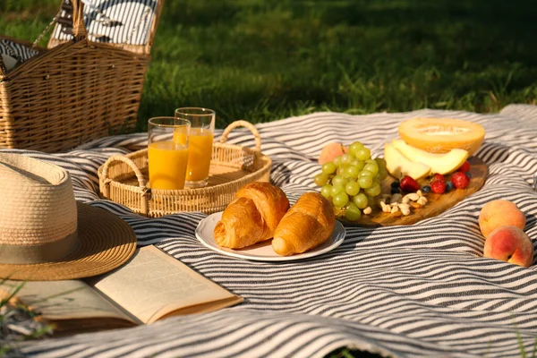 Picknickdecke Mit Leckerem Essen Und Saft Auf Grünem Gras — Stockfoto