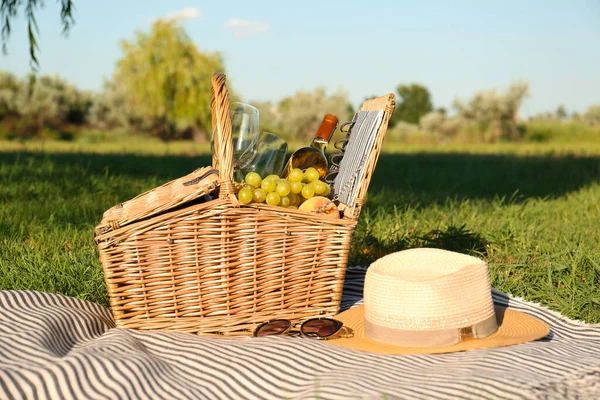 Cesta Piquenique Com Lanches Garrafa Vinho Cobertor Parque — Fotografia de Stock