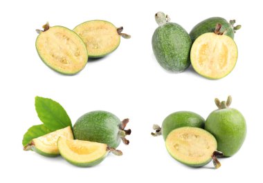 Beyaz arka planda taze olgun feijoas seti