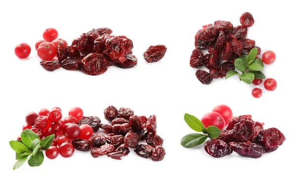 Collage Dried Cranberries White Background — Stock Photo, Image