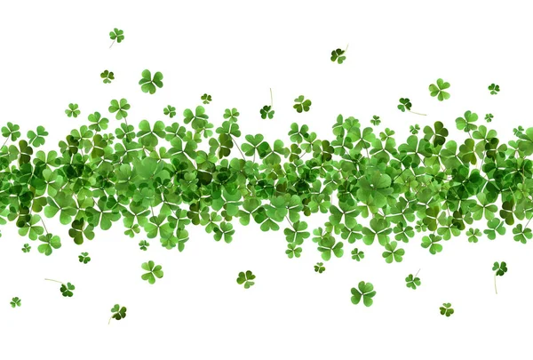 Fresh Green Clover Leaves White Background Patrick Day — Stock Photo, Image