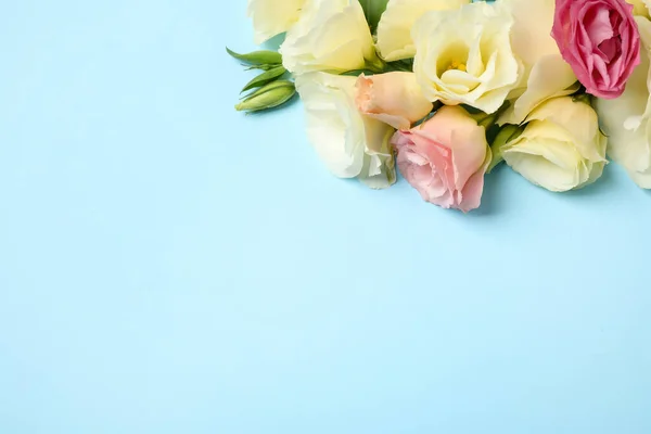 Beautiful Eustoma Flowers Light Blue Background Flat Lay Space Text — Stock Photo, Image