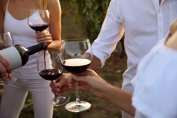 Amis Dégustation Vin Rouge Dans Vignoble Jour Ensoleillé Gros Plan — Photo