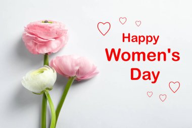 Beyaz arka planda güzel ranunculus çiçekleri, düz yatış. Mutlu Kadınlar Günü