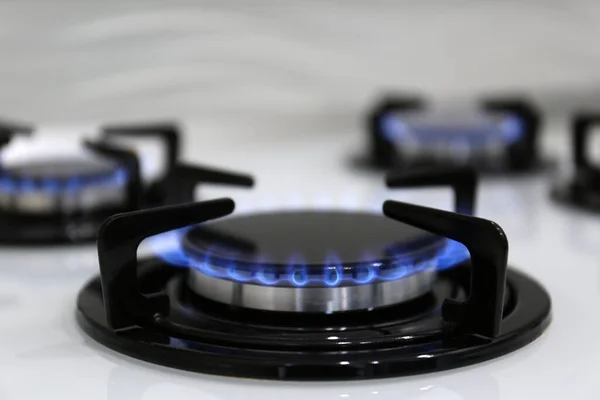 Modern kitchen stove with burning gas, closeup