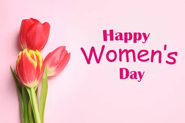Schöne Frühlingstulpen Auf Rosa Hintergrund Flach Gelegt Glücklicher Frauentag — Stockfoto