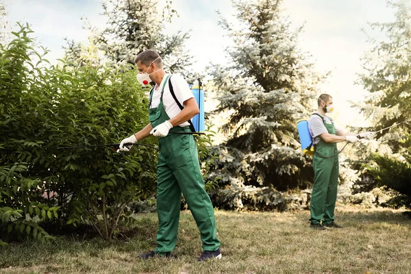 Trabalhadores Que Pulverizam Pesticidas Arbustos Livre Controlo Pragas — Fotografia de Stock