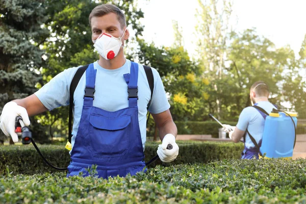 Trabajadores Rociando Pesticidas Sobre Arbustos Verdes Aire Libre Control Plagas — Foto de Stock