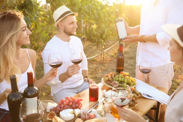 Vrienden Met Een Glas Wijn Plezier Wijngaard — Stockfoto