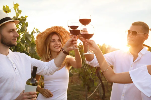 Vrienden Klinkende Glazen Rode Wijn Wijngaard Zonnige Dag — Stockfoto