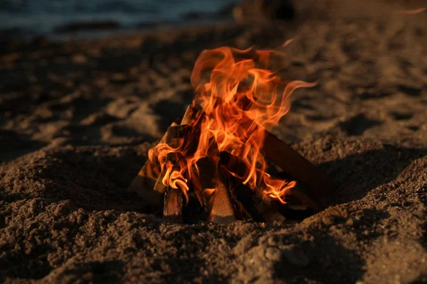 Hermosa Hoguera Con Leña Ardiente Playa Arena Por Noche — Foto de Stock