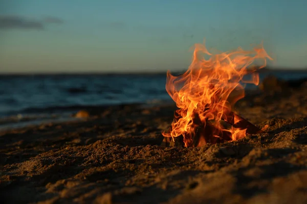 美丽的篝火与燃烧的柴火晚上在沙滩上 文字空间 — 图库照片