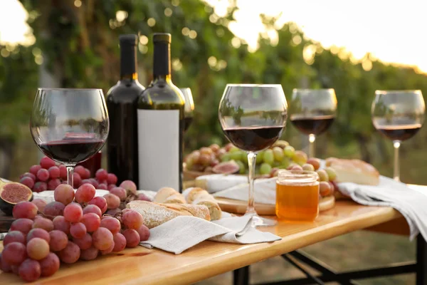 Rode Wijn Snacks Geserveerd Voor Picknick Houten Tafel Buiten — Stockfoto
