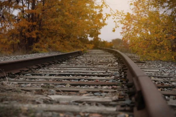 Línea Ferroviaria Con Pista Lastre Campo Viaje Tren — Foto de Stock