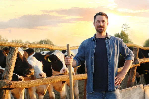 Werknemer Met Schop Buurt Van Koeienstal Boerderij Veehouderij — Stockfoto