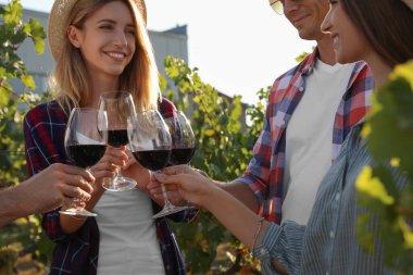 Arkadaşlar, güneşli bir günde bağda kırmızı şarap kadehlerini tokuşturuyorlar.