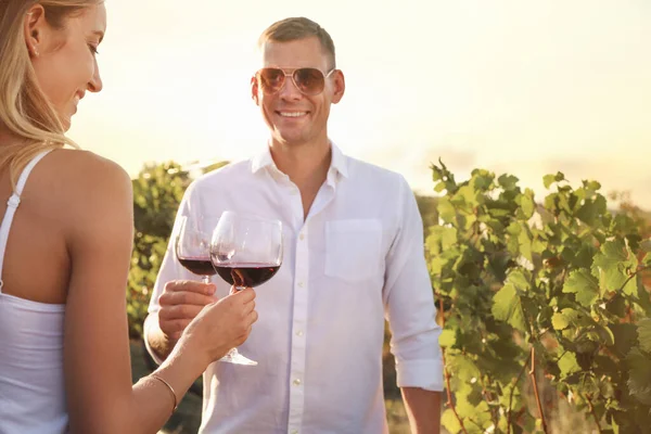 Casal Com Copos Vinho Vinha Dia Ensolarado — Fotografia de Stock