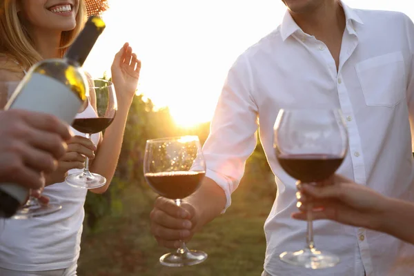 Amigos Degustando Vinho Tinto Vinha Dia Ensolarado Close — Fotografia de Stock