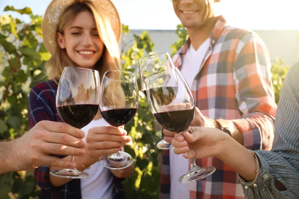 Amigos Clinking Copos Vinho Tinto Vinha Foco Mãos — Fotografia de Stock