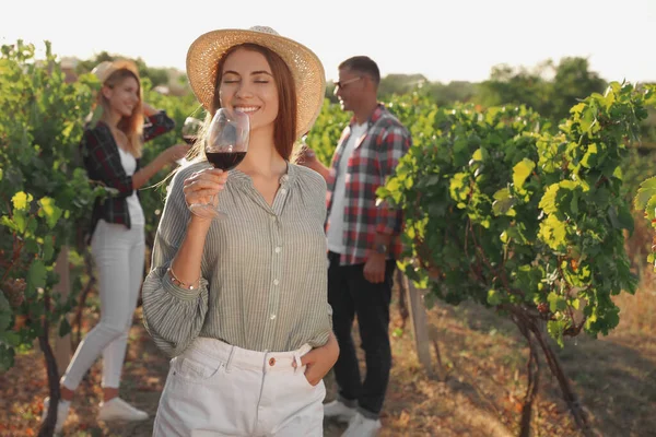 Mooie Jonge Vrouw Met Glas Wijn Haar Vrienden Wijngaard Zonnige — Stockfoto