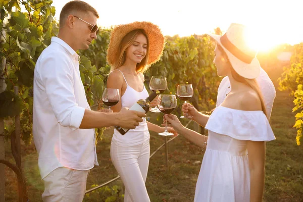 Amis Dégustation Vin Rouge Dans Vignoble Par Une Journée Ensoleillée — Photo