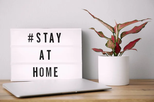 Laptop Zimmerpflanze Und Leuchtkasten Mit Hashtag Stay Home Auf Holztisch — Stockfoto