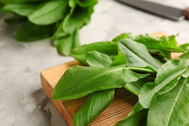 Gri mermer masadaki kuş yaprakları, yakın plan.