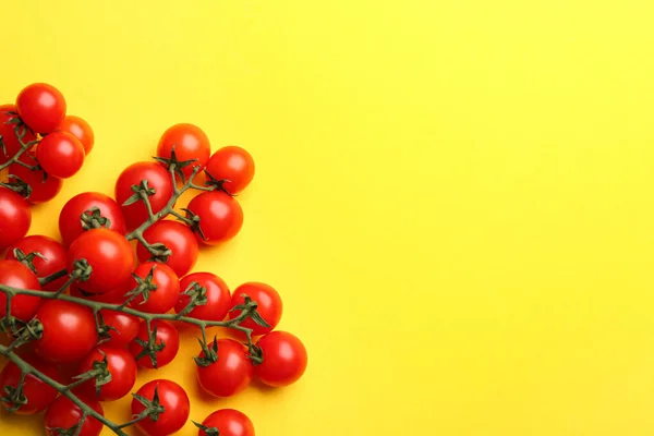 Branches Fresh Cherry Tomatoes Yellow Background Flat Lay Space Text — Stock Photo, Image