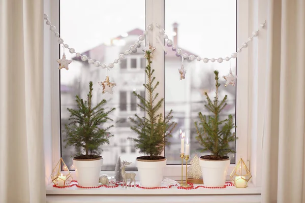 Μικρά Έλατα Γλάστρα Και Χριστουγεννιάτικη Διακόσμηση Εσωτερικό Περβάζι Παραθύρου — Φωτογραφία Αρχείου
