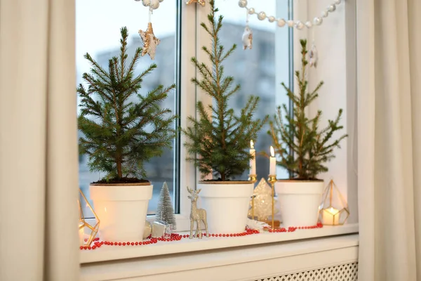 Kleine Kübeltannenbäume Und Weihnachtsdekoration Auf Der Fensterbank Haus — Stockfoto