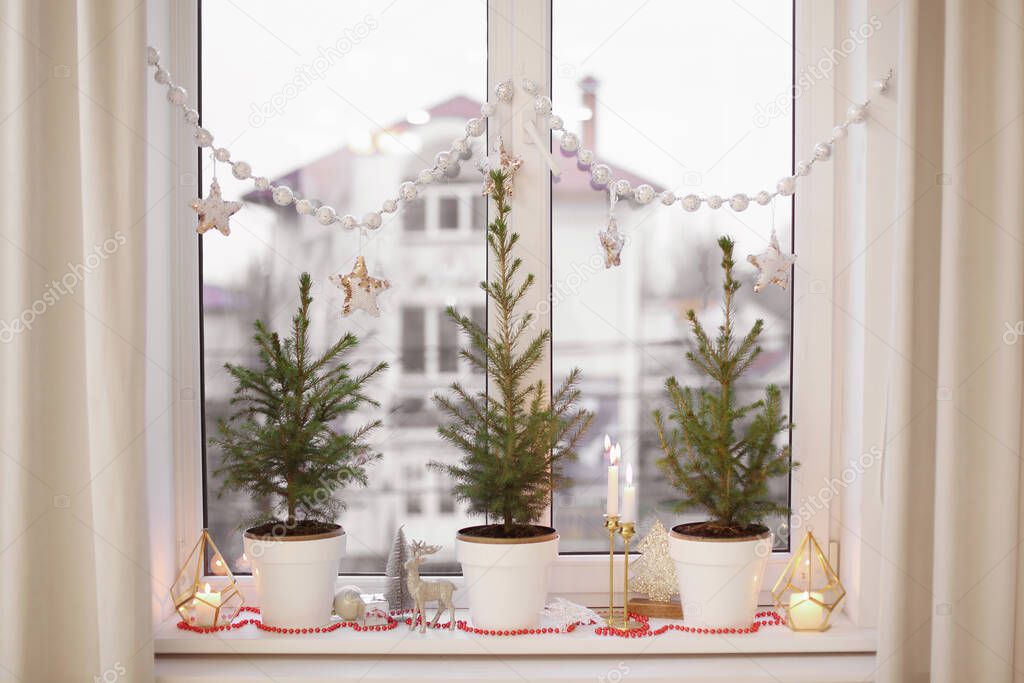 Small potted fir trees and Christmas decor on window sill indoors
