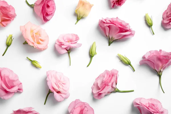 Piękne Kwiaty Eustoma Białym Tle Płaskie Leżaki — Zdjęcie stockowe