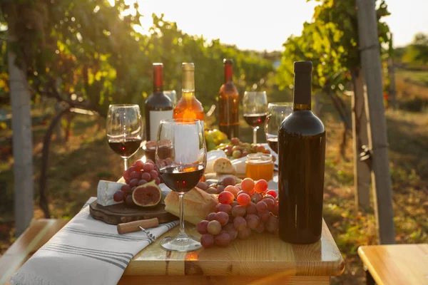 屋外の木製テーブルでピクニックのために提供される赤ワインと軽食 — ストック写真
