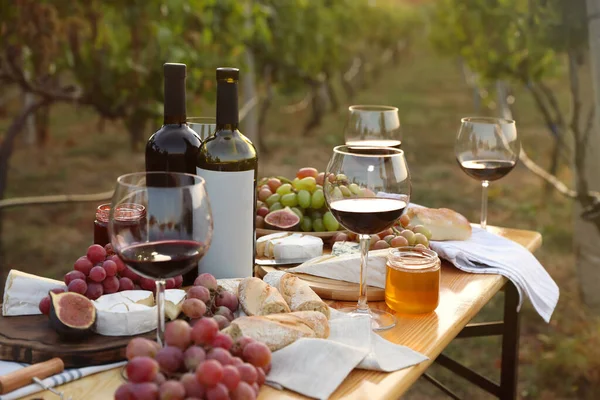 户外在木制桌子上野餐的红酒和零食 — 图库照片